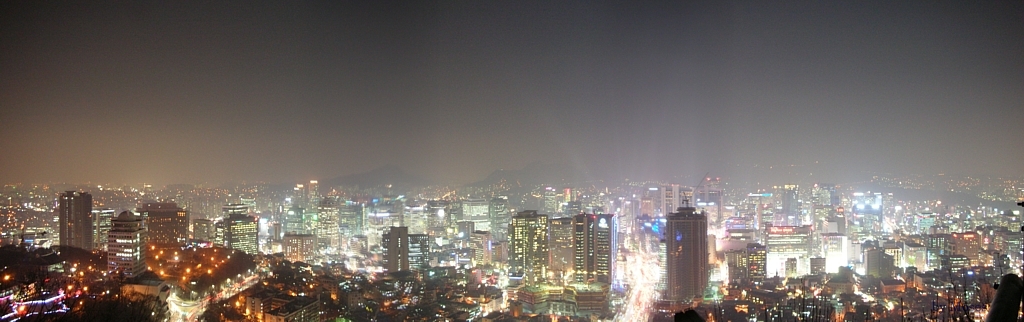 Seoul skyline palace